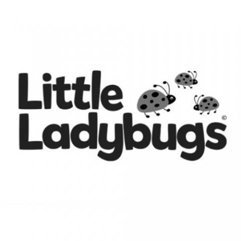 Little Ladybugs, the Ladybug Music Festival IN Wilmington