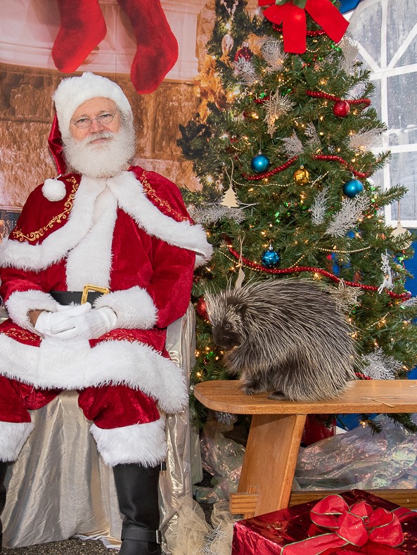 Santa at Brandywine Zoo